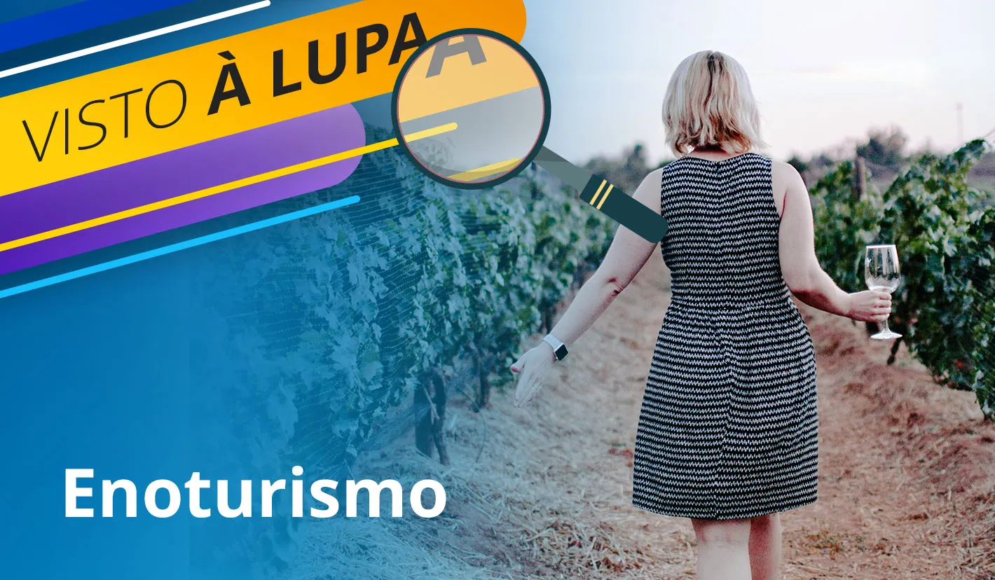 Ynnov | Visto à Lupa: Enoturismo, o encanto de uma viagem pelo mundo dos vinhos